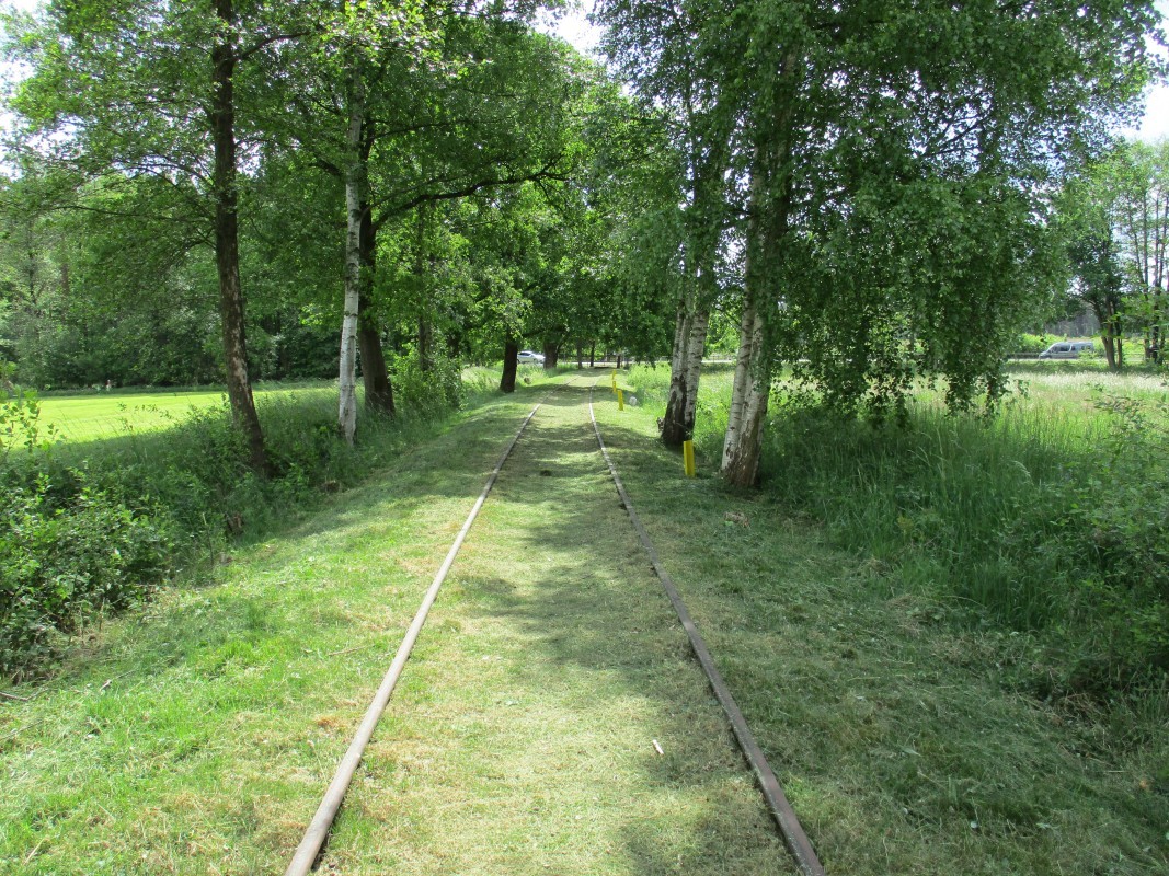 ZWNEGI13
